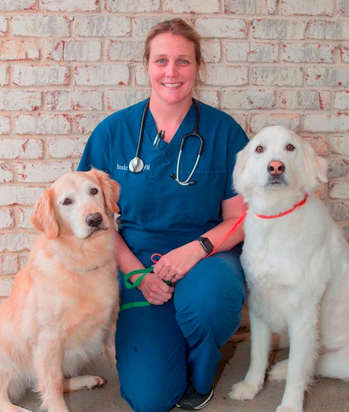 Dr. Brooke Jordan, DVM | North Shelby County Animal Hospital